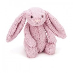 Jellycat Bashful Bunny SMALL - H18 X W9 CM 邦尼兔小号 多色可选
