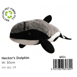 Kiwi & Friends Hallifax Dolphin