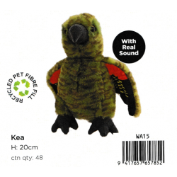 Kiwi & Friends Hallifax Kea