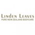 LINDEN LEAVES