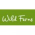 WildFerns-帕氏