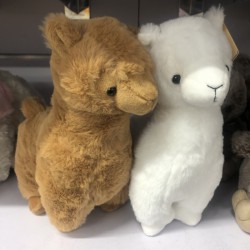 Kiwi & Friends 玩偶 驼羊Alpaca白色棕色 23cm 中号-TAL122/121 